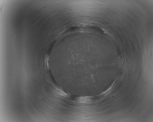 X0000070340094200606161302