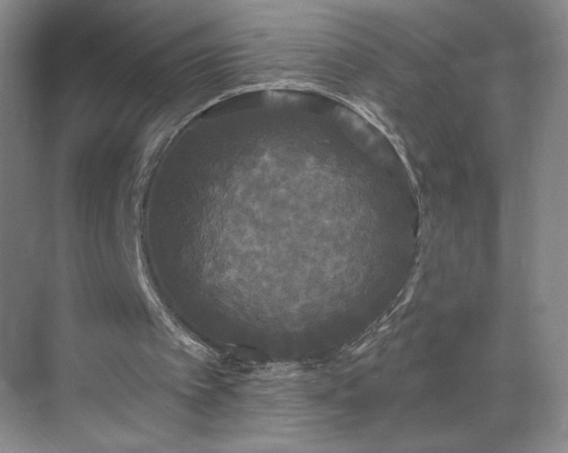 X0000070340097200606161301