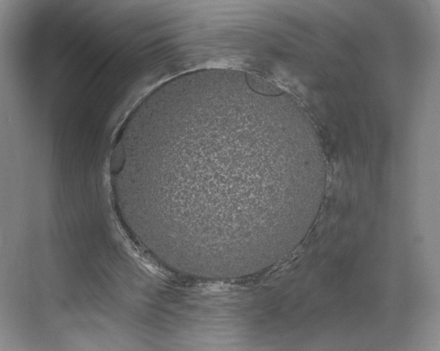 X0000070340098200606161301