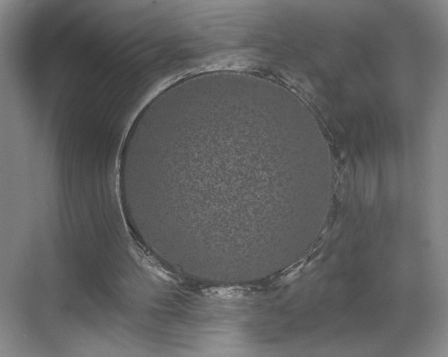 X0000070340100200606161301