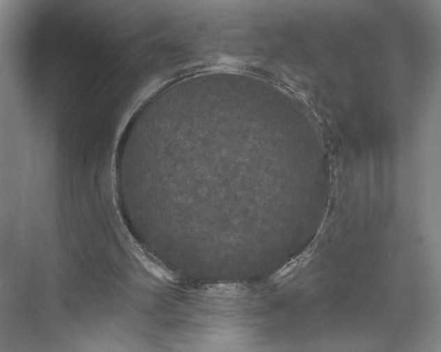 X0000070340102200606161301