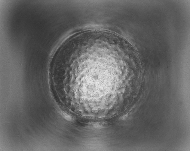 X0000070340103200606161301