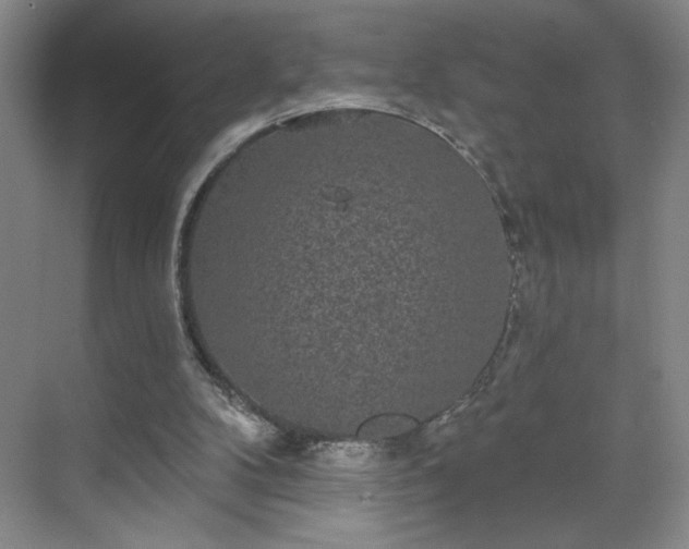 X0000070340104200606161301