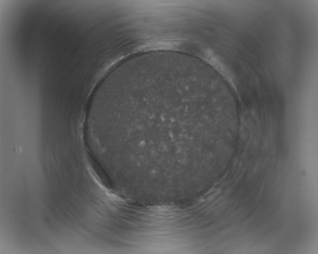 X0000070340107200606161301