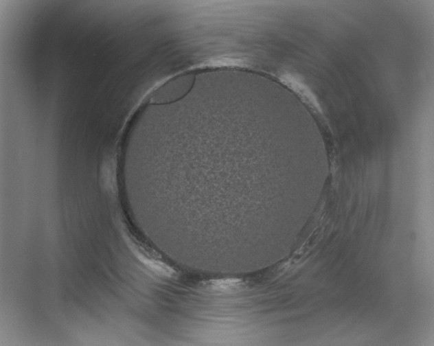 X0000070340108200606161301