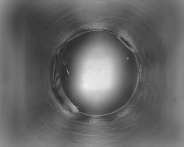 X0000070340109200606161301