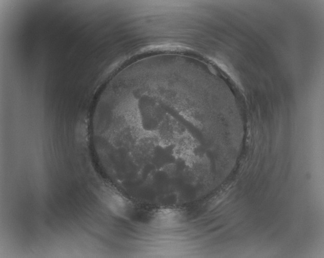 X0000070340111200606161301