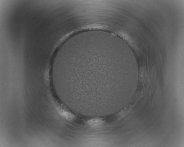 X0000070340112200606161301