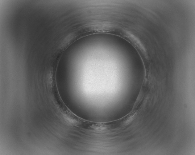 X0000070340113200606161301