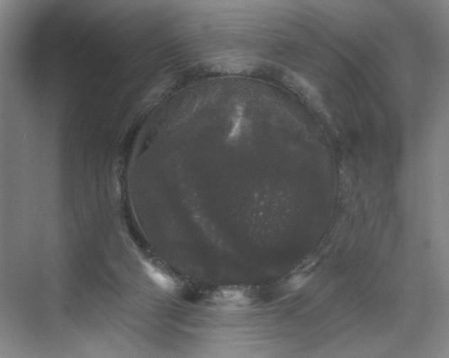 X0000070340114200606161301