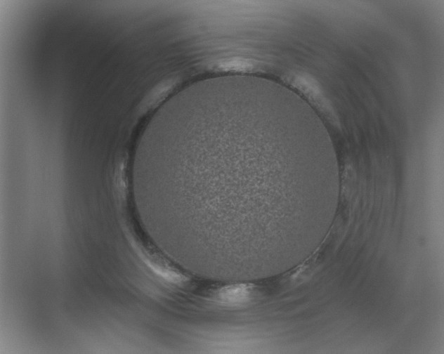 X0000070340116200606161301