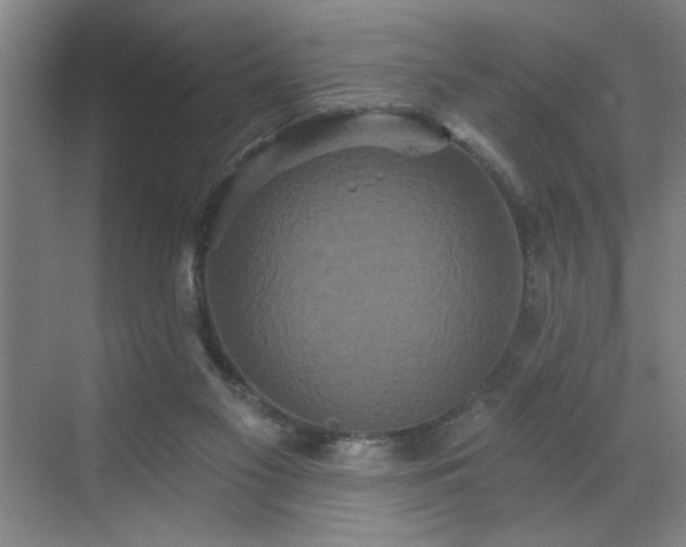 X0000070340117200606161300