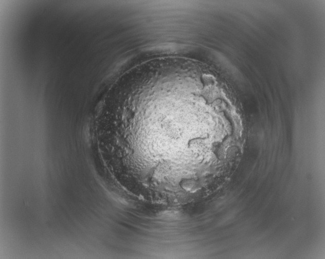 X0000070340119200606161300