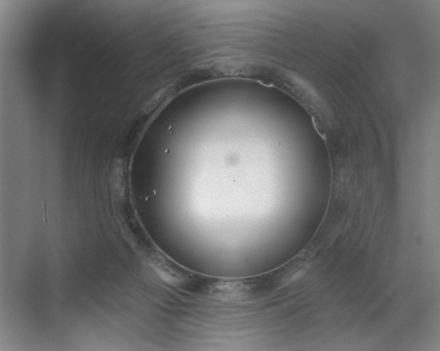 X0000070340121200606161300