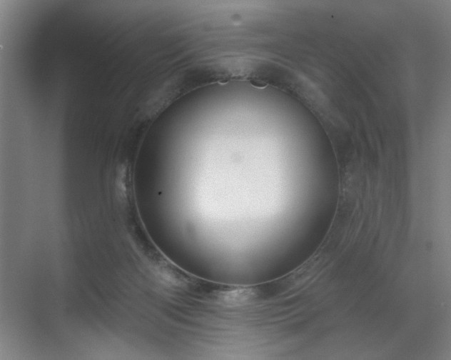 X0000070340122200606161300