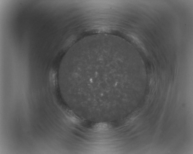 X0000070340123200606161300