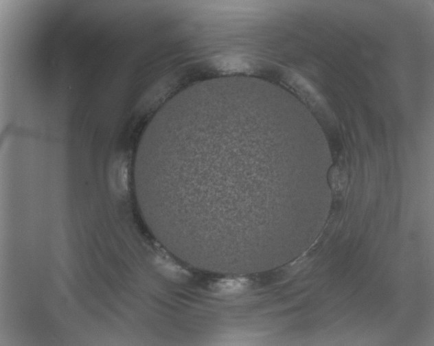 X0000070340124200606161300