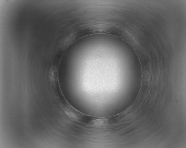 X0000070340126200606161300