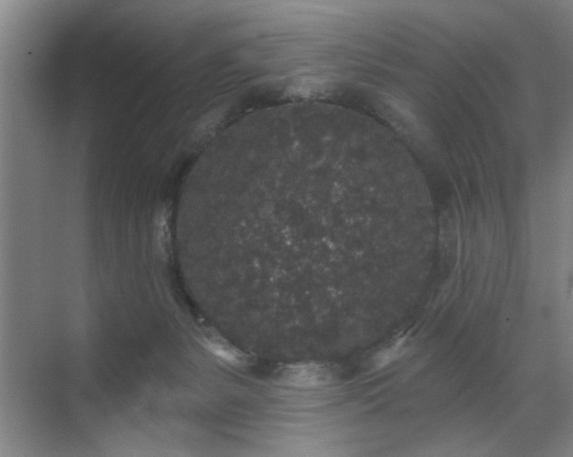 X0000070340127200606161300