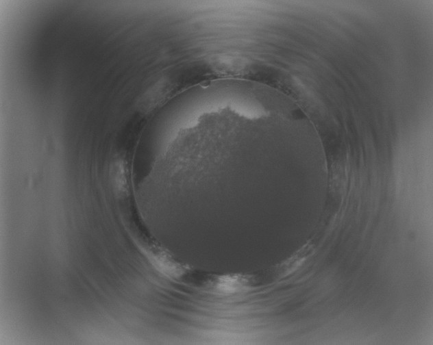 X0000070340130200606161300