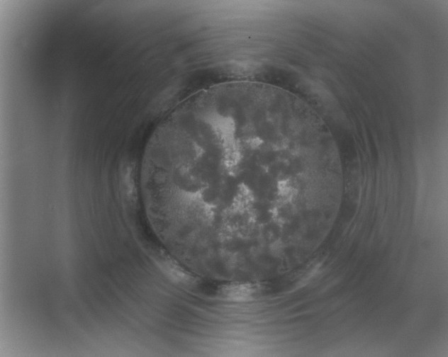 X0000070340131200606161300