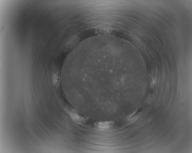 X0000070340134200606161300