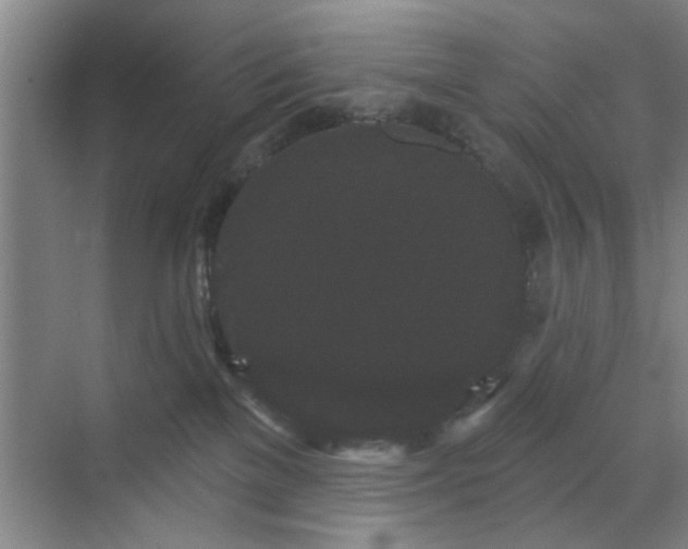 X0000070340137200606161300