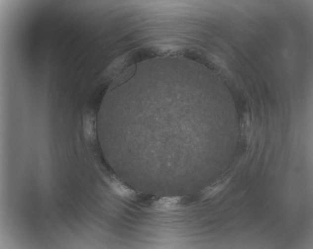 X0000070340138200606161300