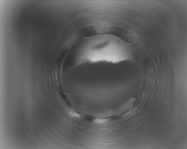 X0000070340139200606161300