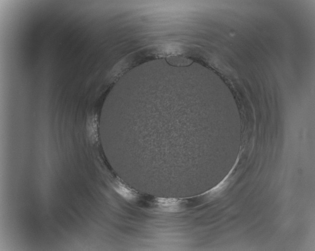 X0000070340144200606161300