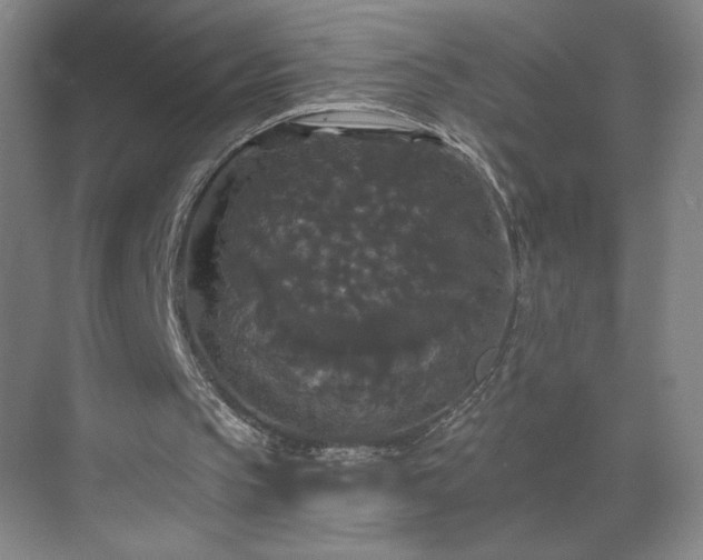 X0000070340145200606161259