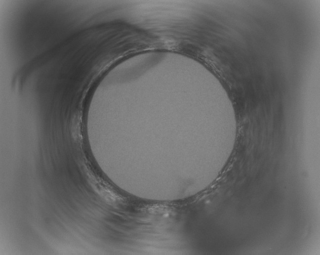 X0000070340146200606161259