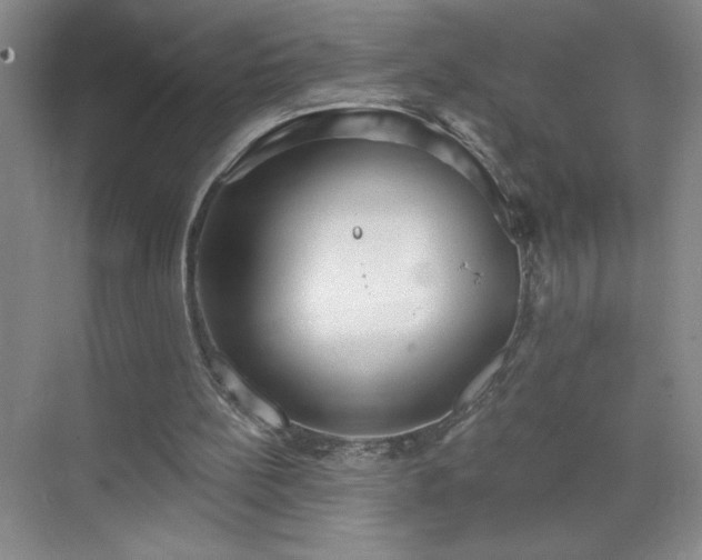 X0000070340148200606161259