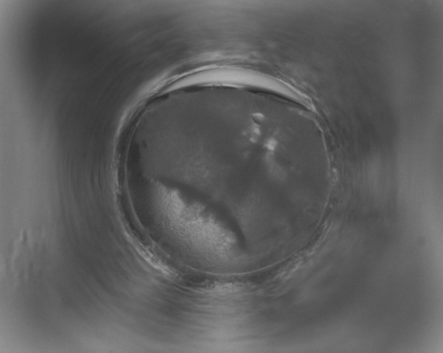 X0000070340149200606161259