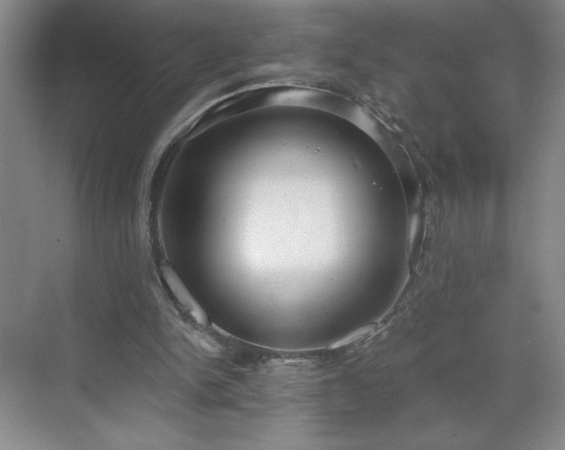 X0000070340150200606161259