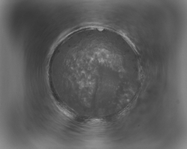 X0000070340151200606161259