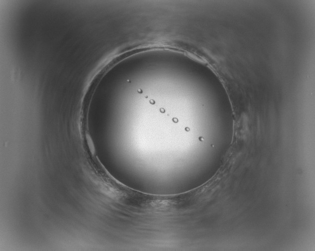 X0000070340152200606161259