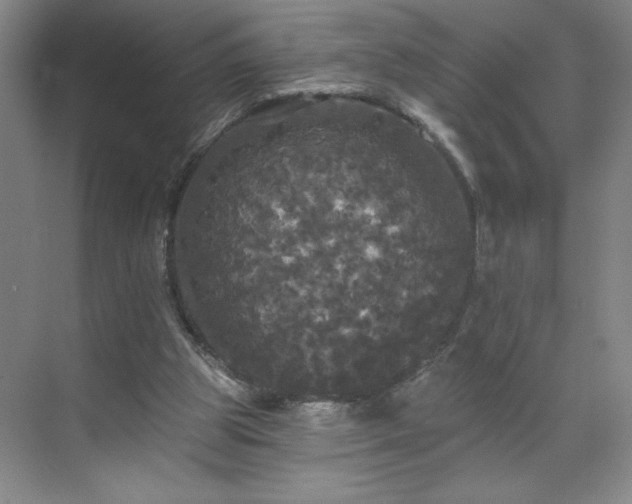 X0000070340153200606161259