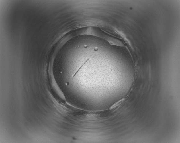 X0000070340154200606161259