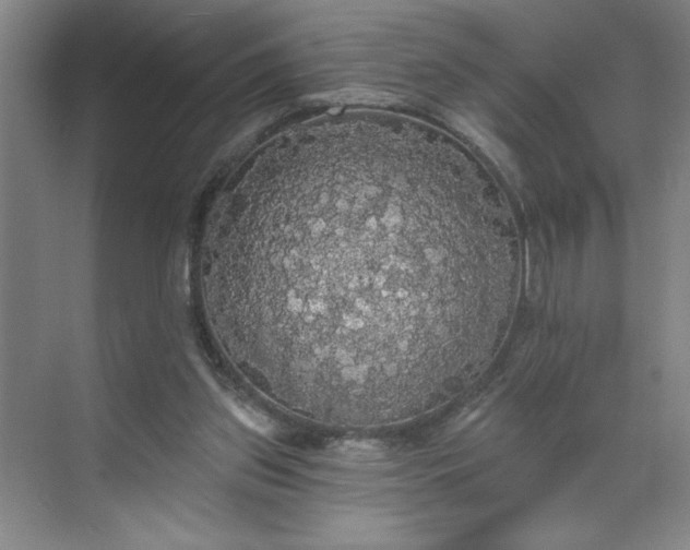 X0000070340157200606161259