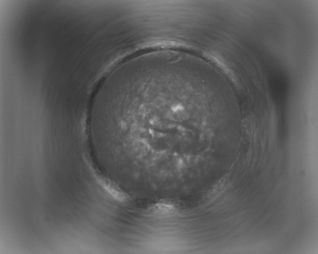 X0000070340159200606161259