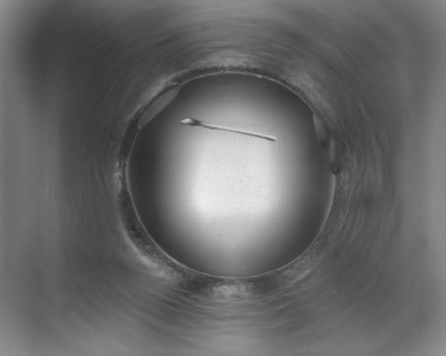 X0000070340160200606161259