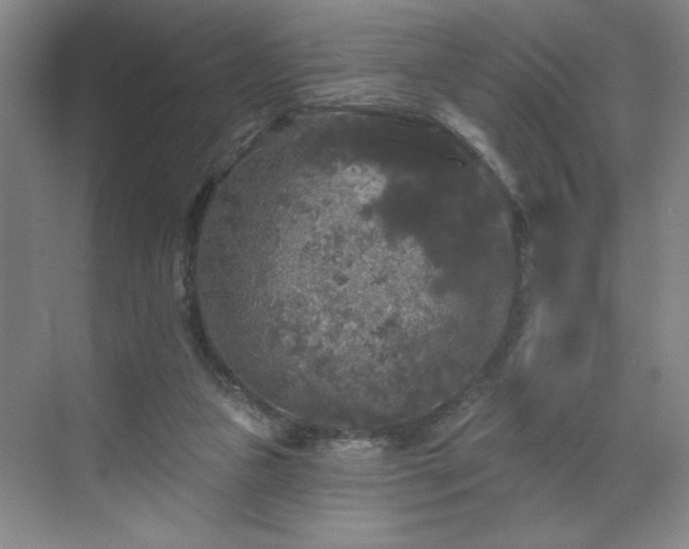 X0000070340161200606161300