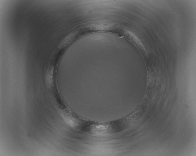 X0000070340163200606161300