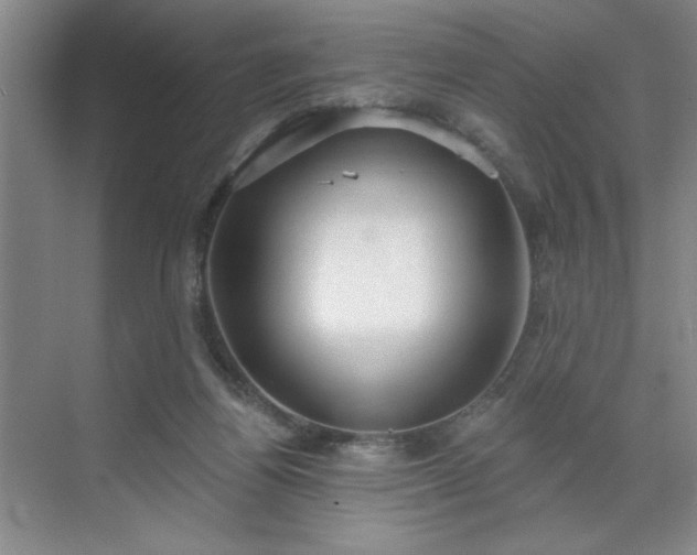 X0000070340164200606161300