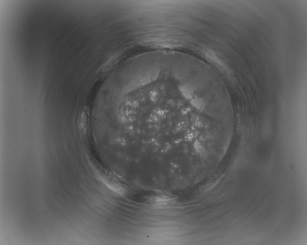 X0000070340165200606161300