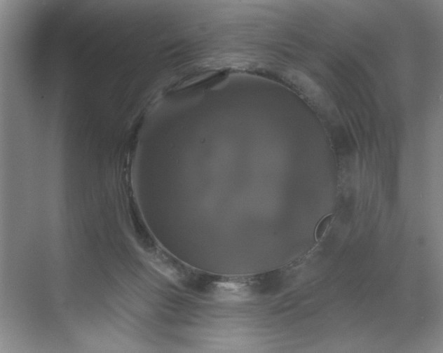 X0000070340167200606161300