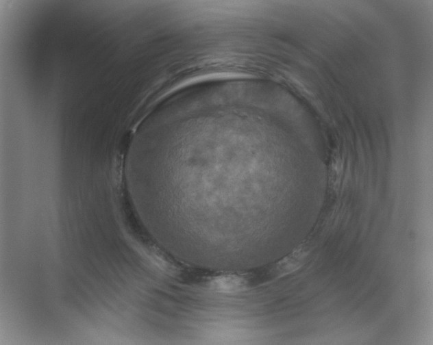 X0000070340168200606161300