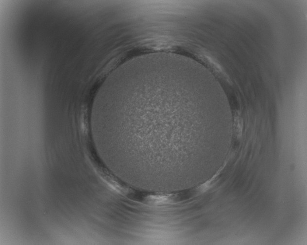 X0000070340170200606161300