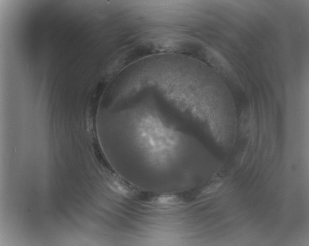 X0000070340173200606161300